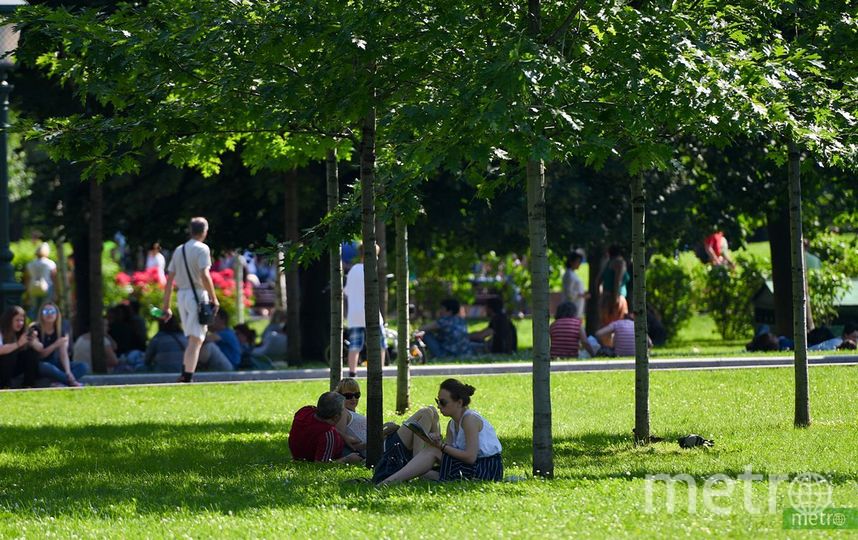 В Москве ожидается жара до 30 градусов