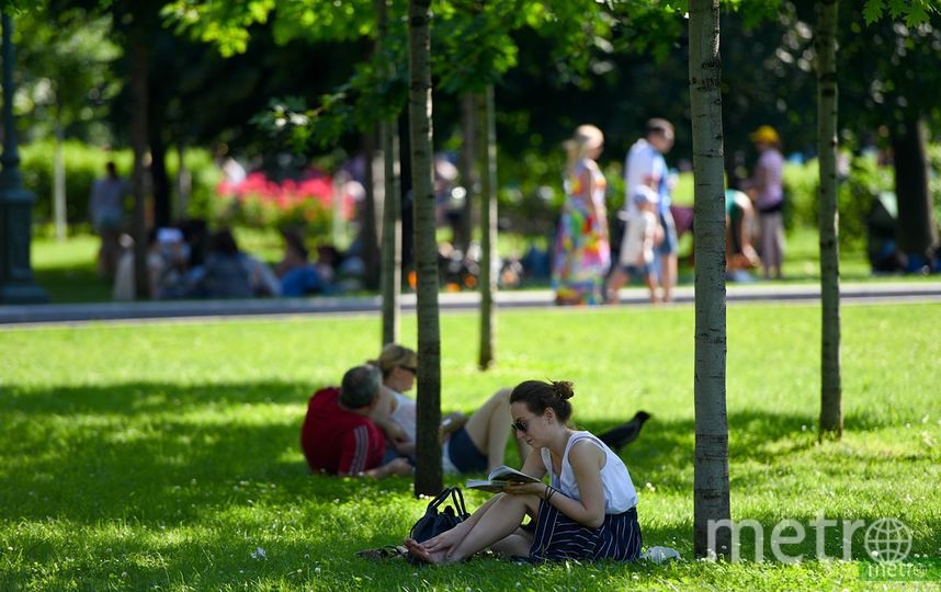 В Москве побит температурный рекорд года
