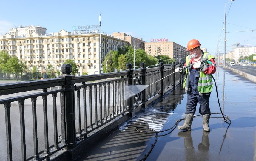 В недоступных для техники местах обработку выполняли вручную. Фото АГН "Москва" | Никеричев Андрей