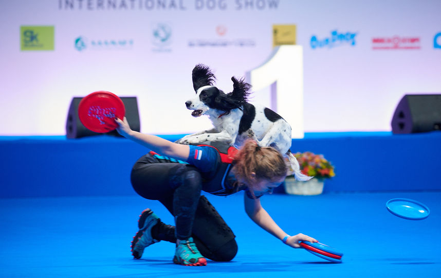 На выставке есть возможность определиться с породой будущего питомца и там же посетить мастер-классы по воспитанию и дрессировке собак. Фото предоставлены организаторами выставки.