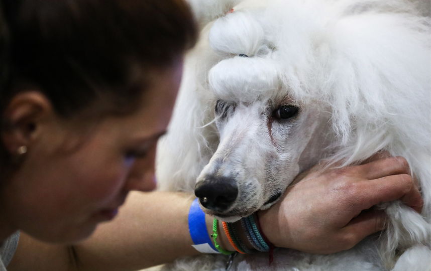 Евразия 2019. Фото Getty