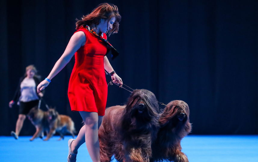 Евразия 2019. Фото Getty