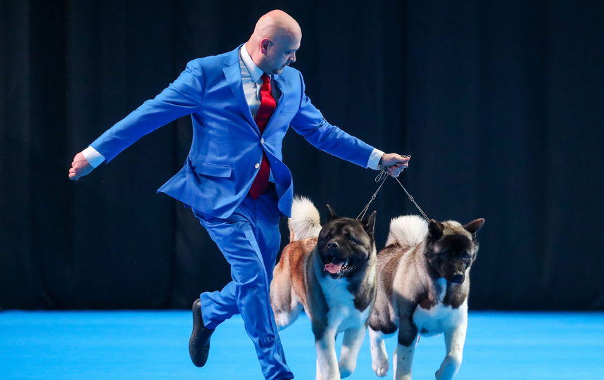 Евразия 2019. Фото Getty