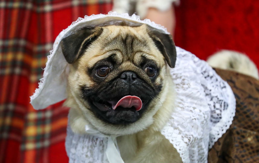 Евразия 2019. Фото Getty