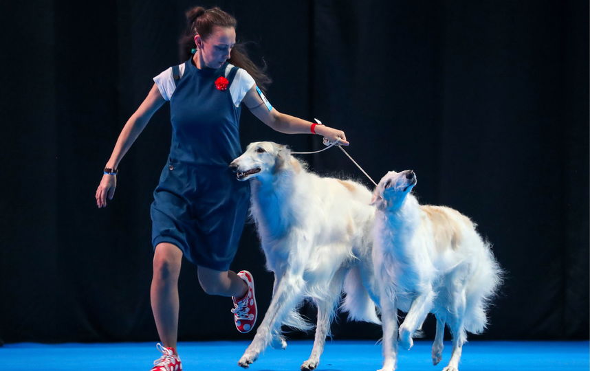 Евразия 2019. Фото Getty