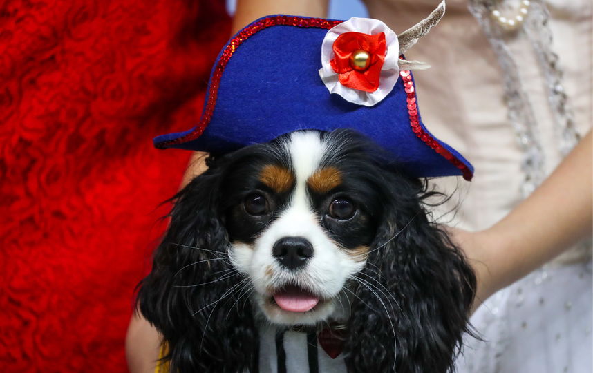 Евразия 2019. Фото Getty