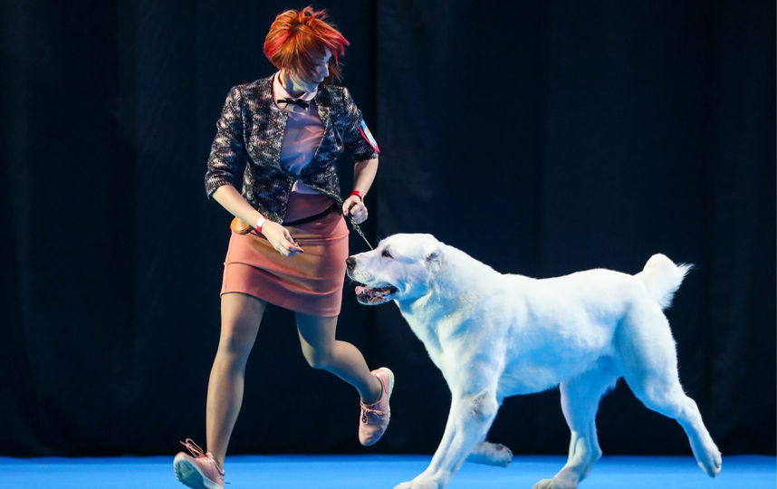 Евразия 2019. Фото Getty