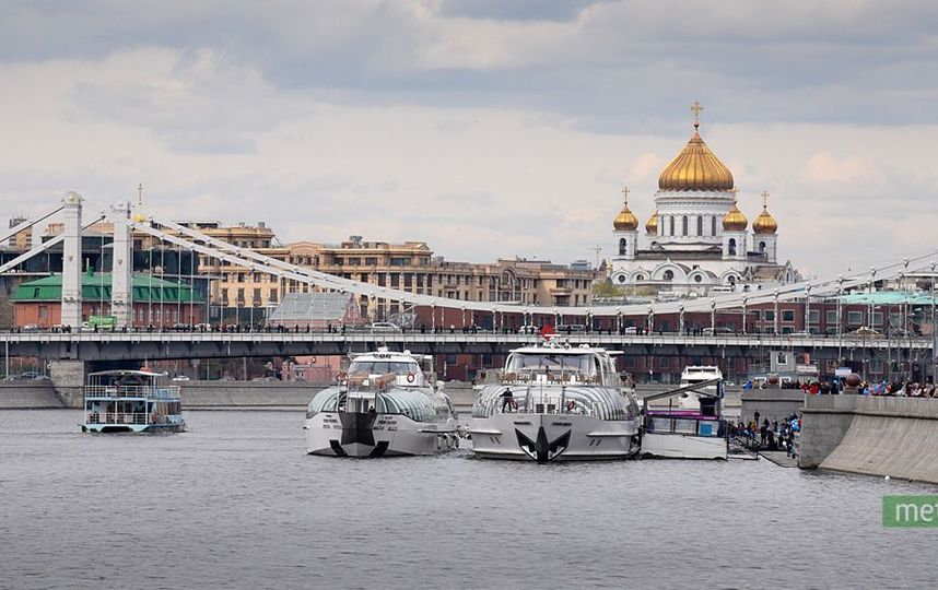 В Москве спасли жизнь лисы, застрявшей на льдине
