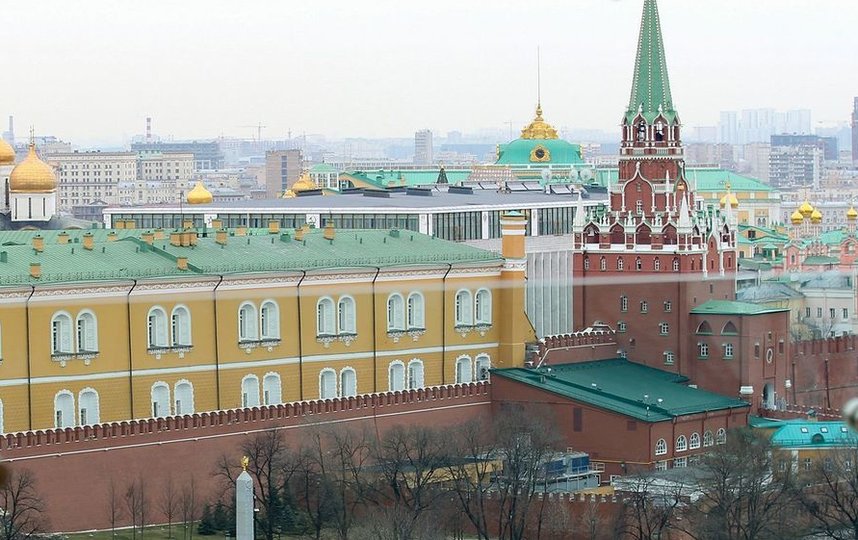 В Москве зацвёл орешник на два месяца раньше