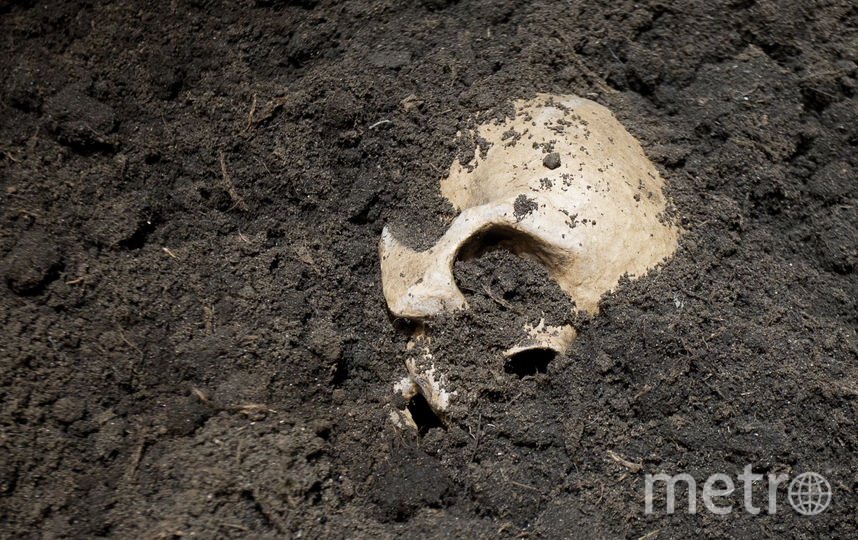 Выставка посвящённая 100-летию Юрия Любимова. Фото Василий Кузьмичёнок, "Metro"