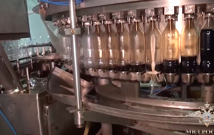 Скриншот мвд.рф.