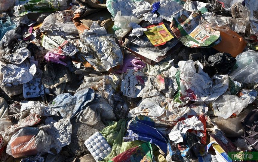 Свалка в Курьяново. Фото Василий Кузьмичёнок