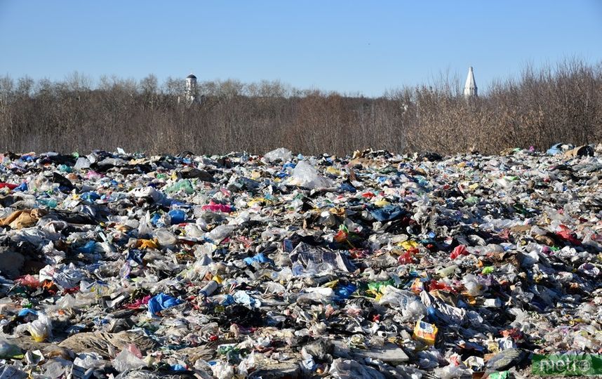 Свалка в Курьяново. Фото Василий Кузьмичёнок