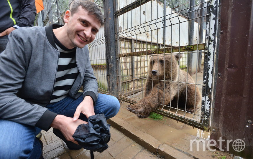 Metro побывало в подмосковном Андрейково, куда привозят на реабилитацию енотов и других зверей, вдруг оказавшихся ненужными. Фото Александр Кочубей, "Metro"
