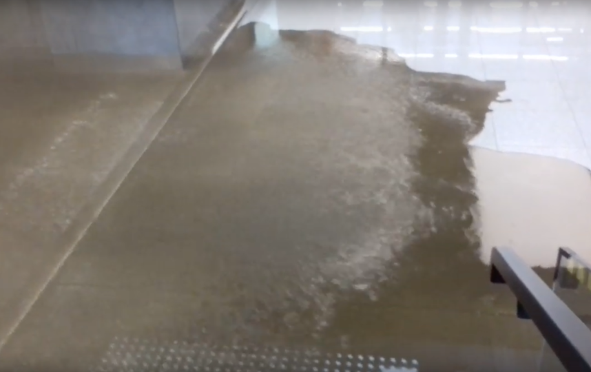 Скриншот youtube.com/watch?v=M7TQnqCAmCM.