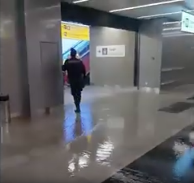 Скриншот youtube.com/watch?v=t3ag0E6lV7g.