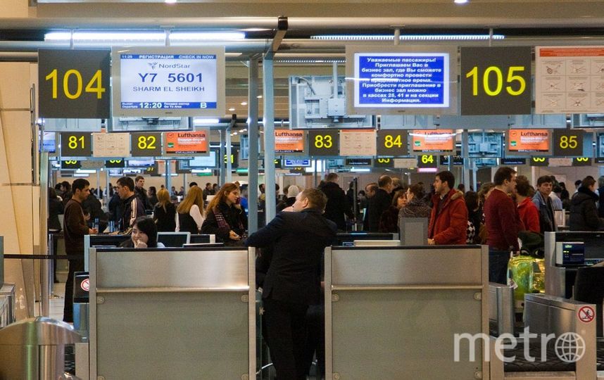 В Шереметьево пассажирка упала на ленту выдачи багажа и уехала в техзону
