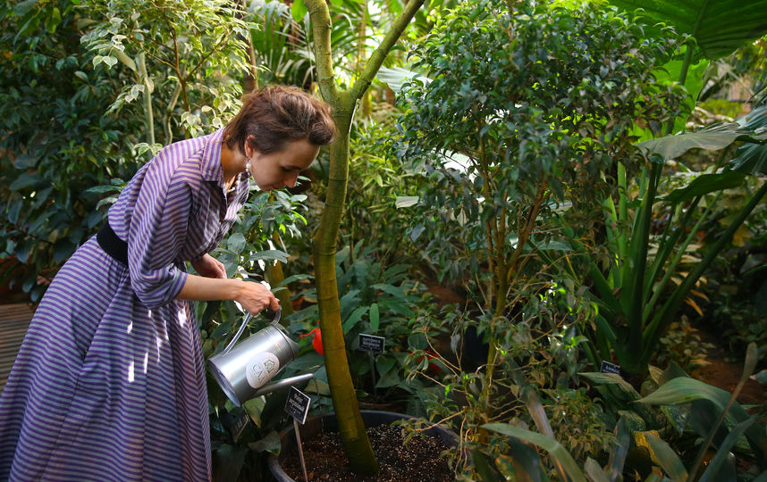 В Ботаническом саду МГУ стартовал экологический проект. Фото Василий Кузьмичёнок