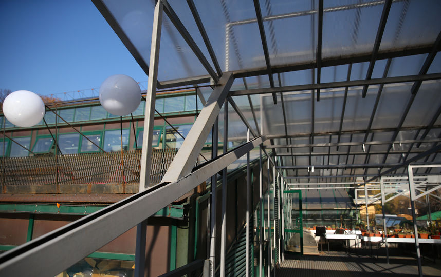 В Ботаническом саду МГУ стартовал экологический проект. Фото Василий Кузьмичёнок