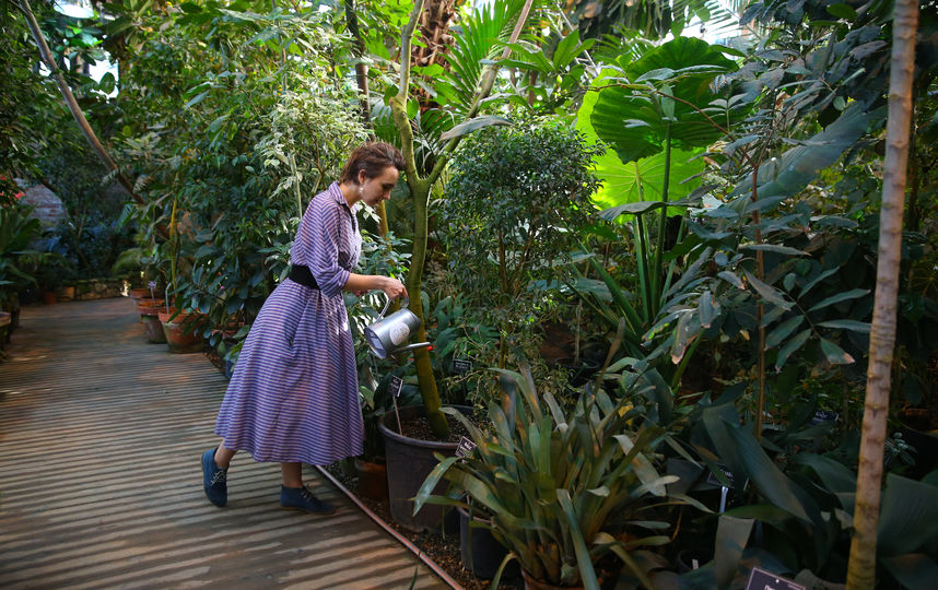 В Ботаническом саду МГУ стартовал экологический проект. Фото Василий Кузьмичёнок