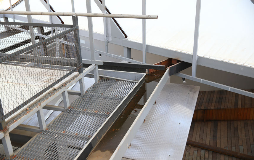 В Ботаническом саду МГУ стартовал экологический проект. Фото Василий Кузьмичёнок