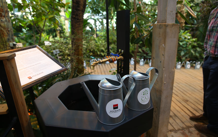 Через дождевой водопровод вода поступает в оранжерею, и её можно наливать из обычного крана над кирпичным колодцем. Фото Василий Кузьмичёнок