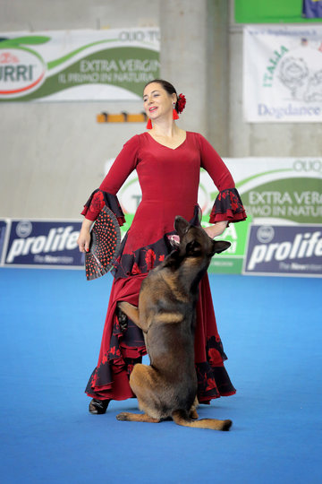Соревнования по танцам с собакой. Фото все фото предоставлены РКФ и Полиной Ильиной