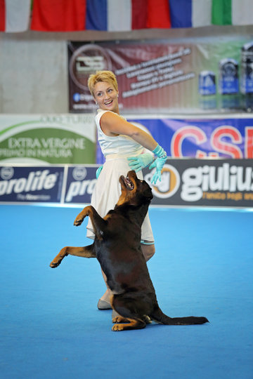 Соревнования по танцам с собакой. Фото все фото предоставлены РКФ и Полиной Ильиной