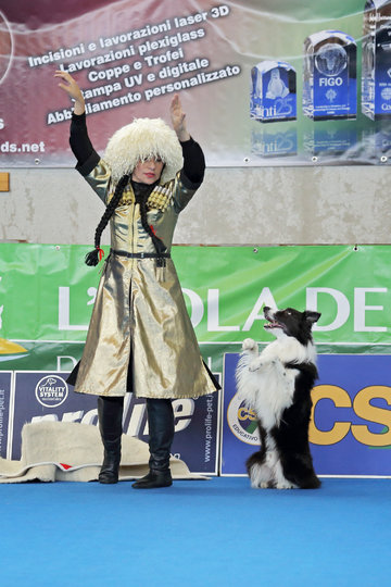 Соревнования по танцам с собакой. Фото все фото предоставлены РКФ и Полиной Ильиной