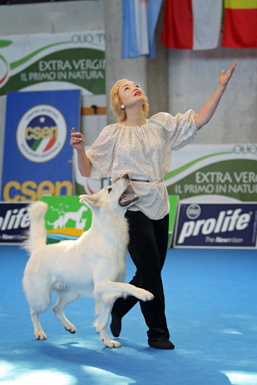 Соревнования по танцам с собакой. Фото все фото предоставлены РКФ и Полиной Ильиной