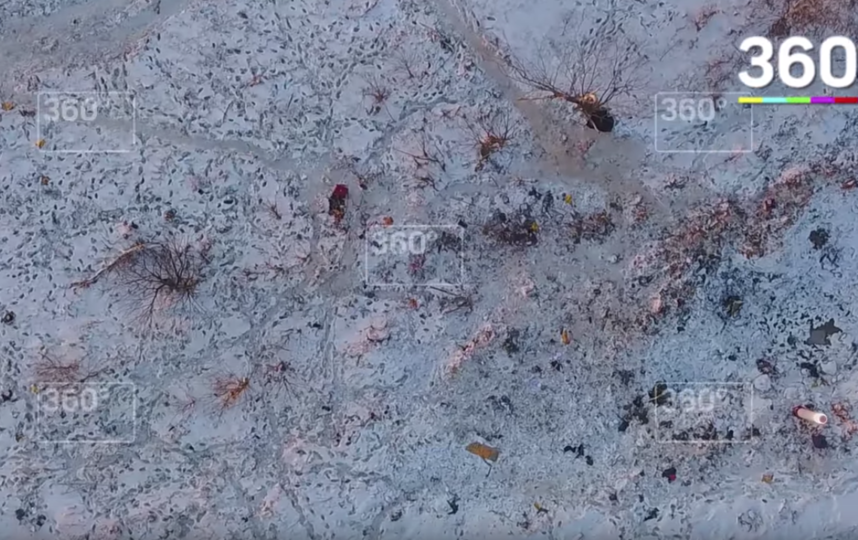 Скриншот youtube.com/watch?time_continue=31&v=2ssNJCfIJFg.