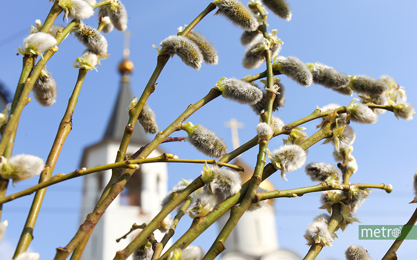 Весна приходит в Москву. Фото Василий Кузьмичёнок
