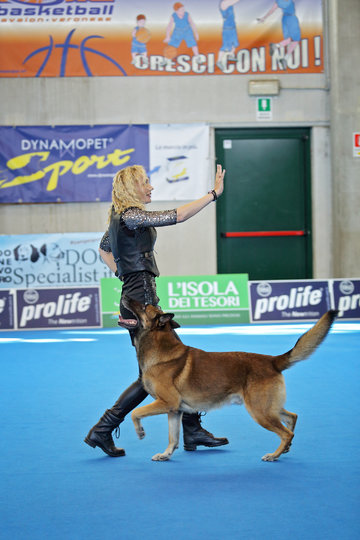 Полина и Сабур. Фото все фото предоставлены РКФ и Полиной Ильиной