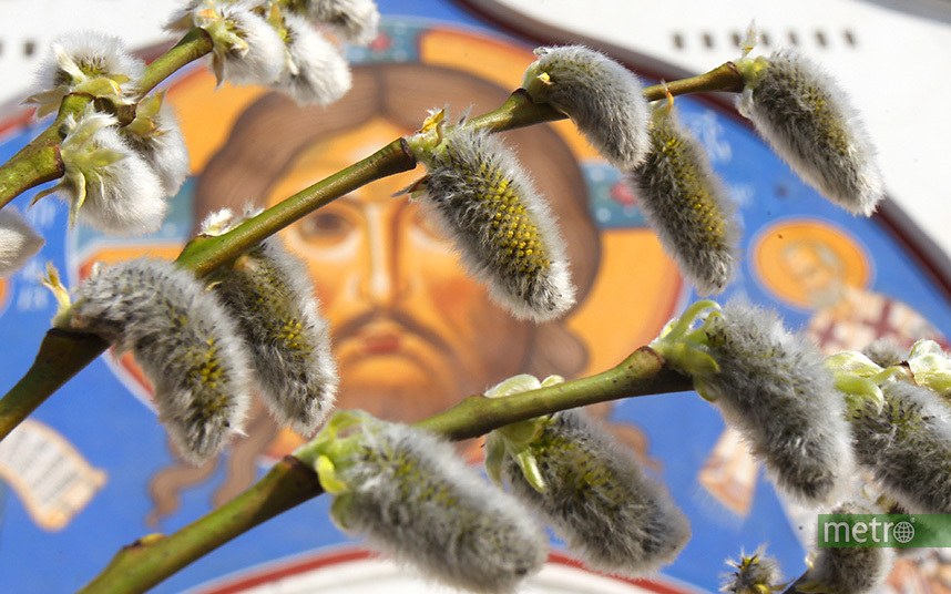 Весна приходит в Москву. Фото Василий Кузьмичёнок