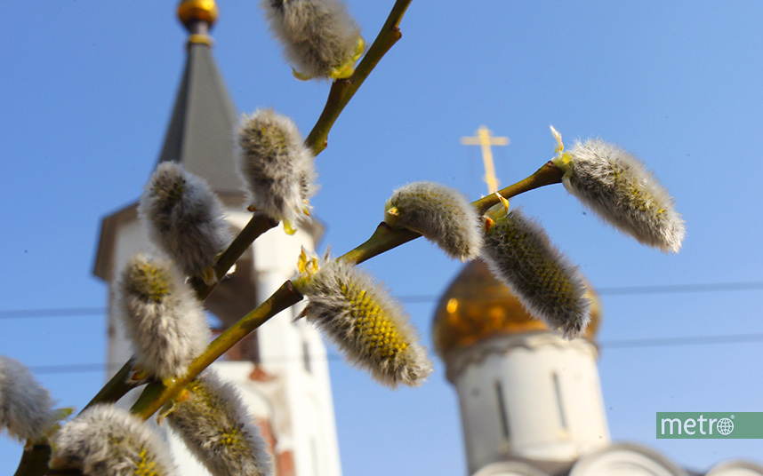 Весна приходит в Москву. Фото Василий Кузьмичёнок