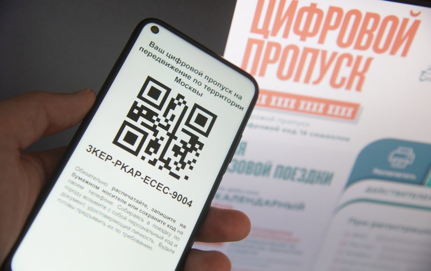 Цифровой пропуск. Фото АГН "Москва"/Александр Авилов