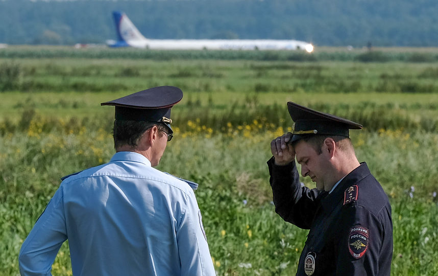 Заслуженный пилот России рассказал, как может навредить самолёту столкновение с птицами