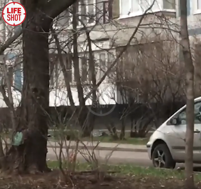 Женщина с двумя детьми выпала из окна многоэтажки на северо-востоке Москвы