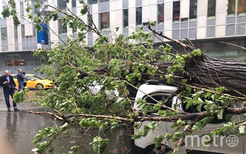 Последствия вчерашнего урагана в москве. Последствия урагана жертвы. Ураган картина последствия. Последствия Ковида улицы.