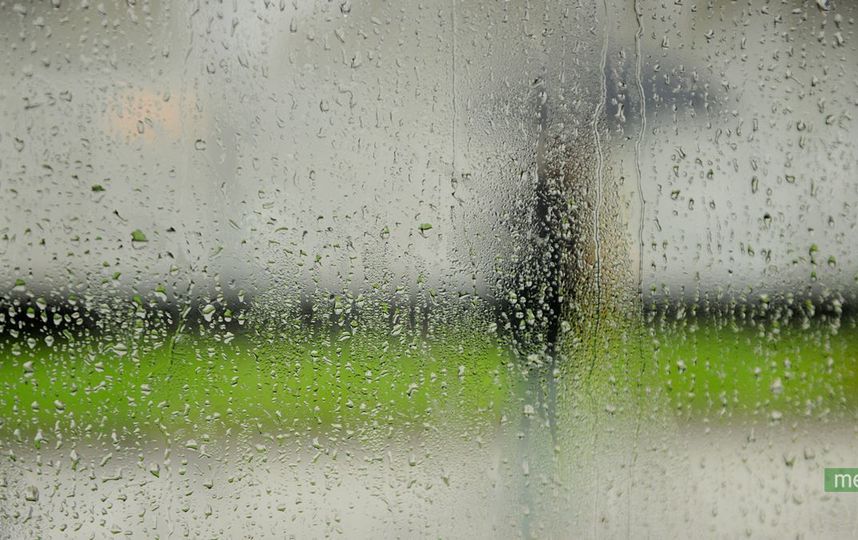 Жителей Подмосковья предупредили о дожде и грозе с сильным ветром