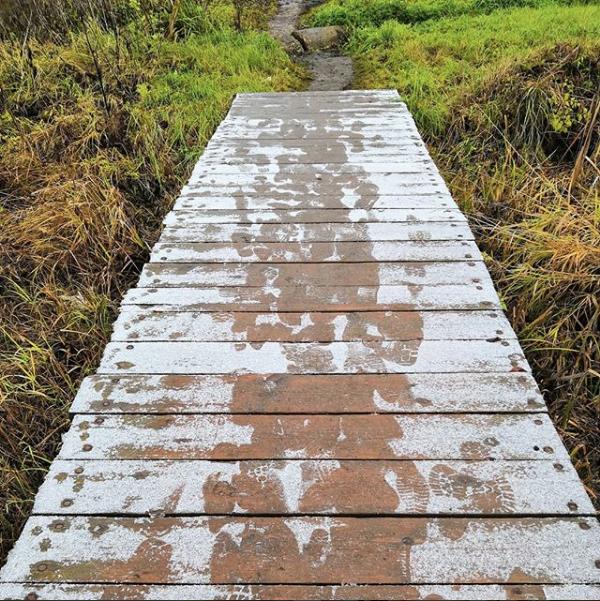 Скриншот instagram.com/an_kachaeva/.