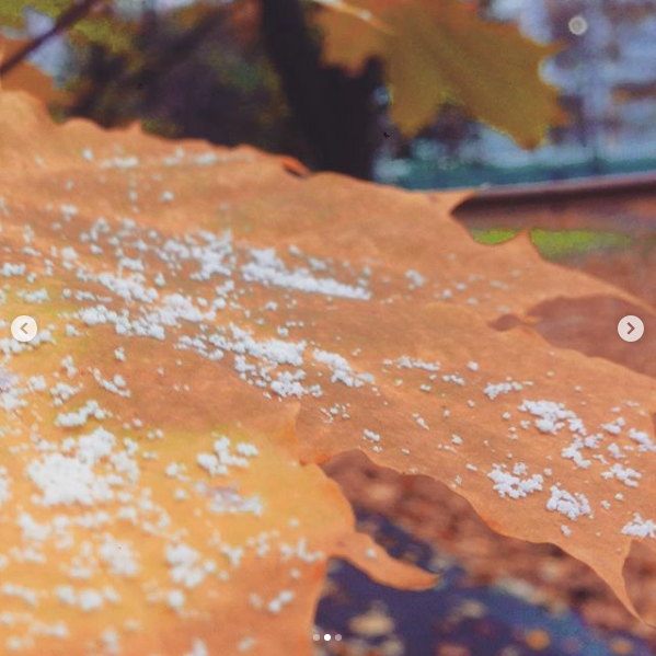 Хорошёво-Мнёвники. Фото Скриншот instagram.com/bectabecta/.