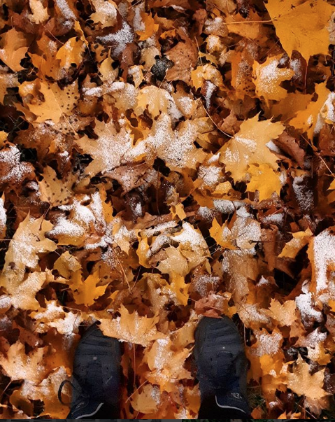 Первый снег выпал в Мытищах. Фото Скриншот instagram.com/mitten.v/