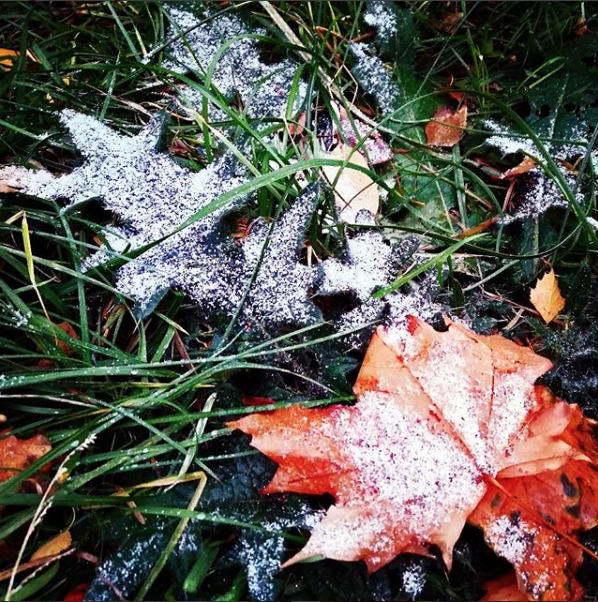 Первый снег смогли запечатлеть и на севере Москвы. Фото Скриншот instagram.com/comiccap88/.