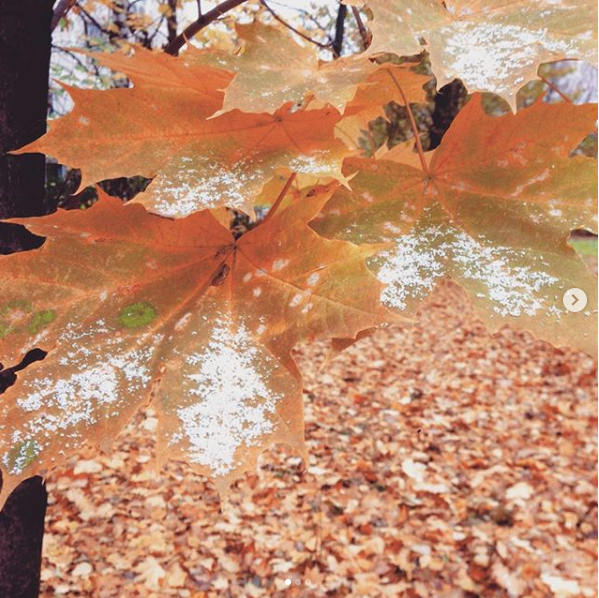 Хорошёво-Мнёвники. Фото Скриншот instagram.com/bectabecta/.