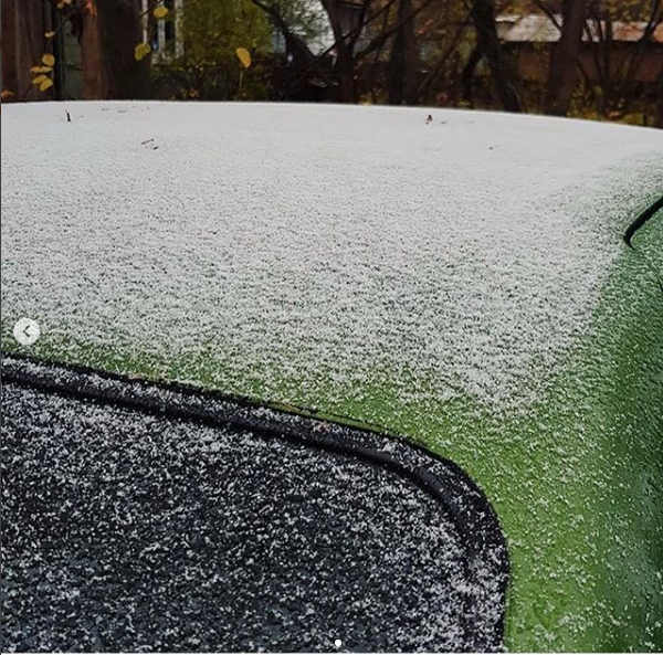 В подмосковном Королёве. Фото Скриншот instagram.com/eko.mojka.shinka/