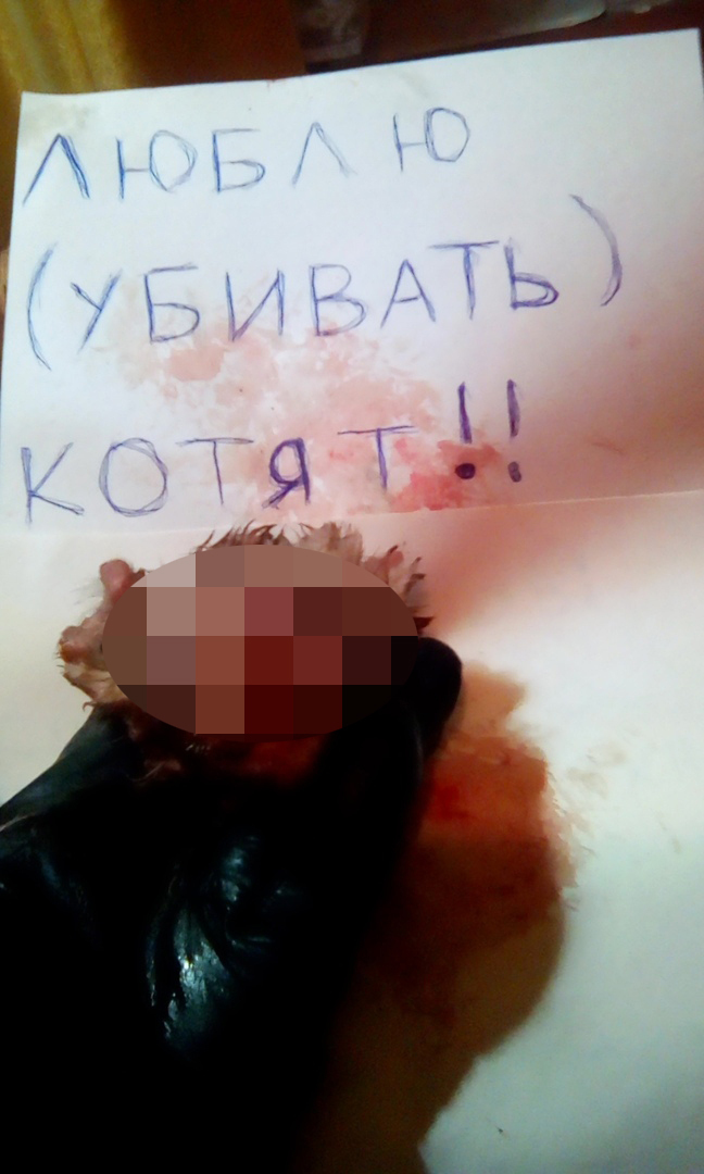 предоставлено ассоциацией "Зооправо".