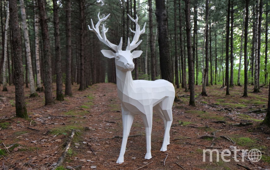 Работы Ильи. Фото из личного архива Ильи Гурко., "Metro"