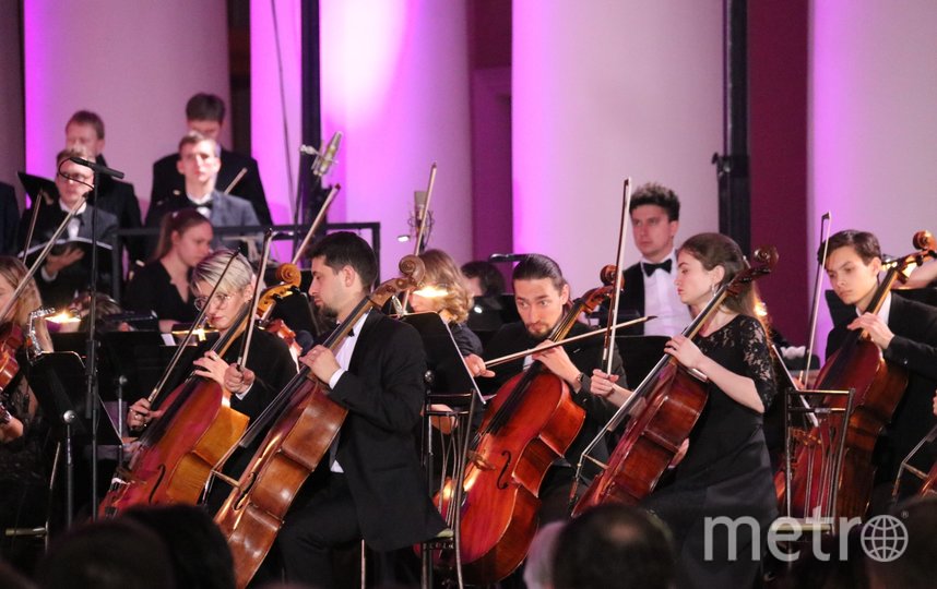 Симфонический оркестр Ленобласти не смог улететь на гастроли в Китай из-за коронавируса. Фото предоставлено пресс-службой , "Metro"