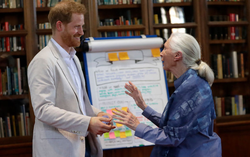 Принц Гарри и Джейн Гудолл. Фото Getty